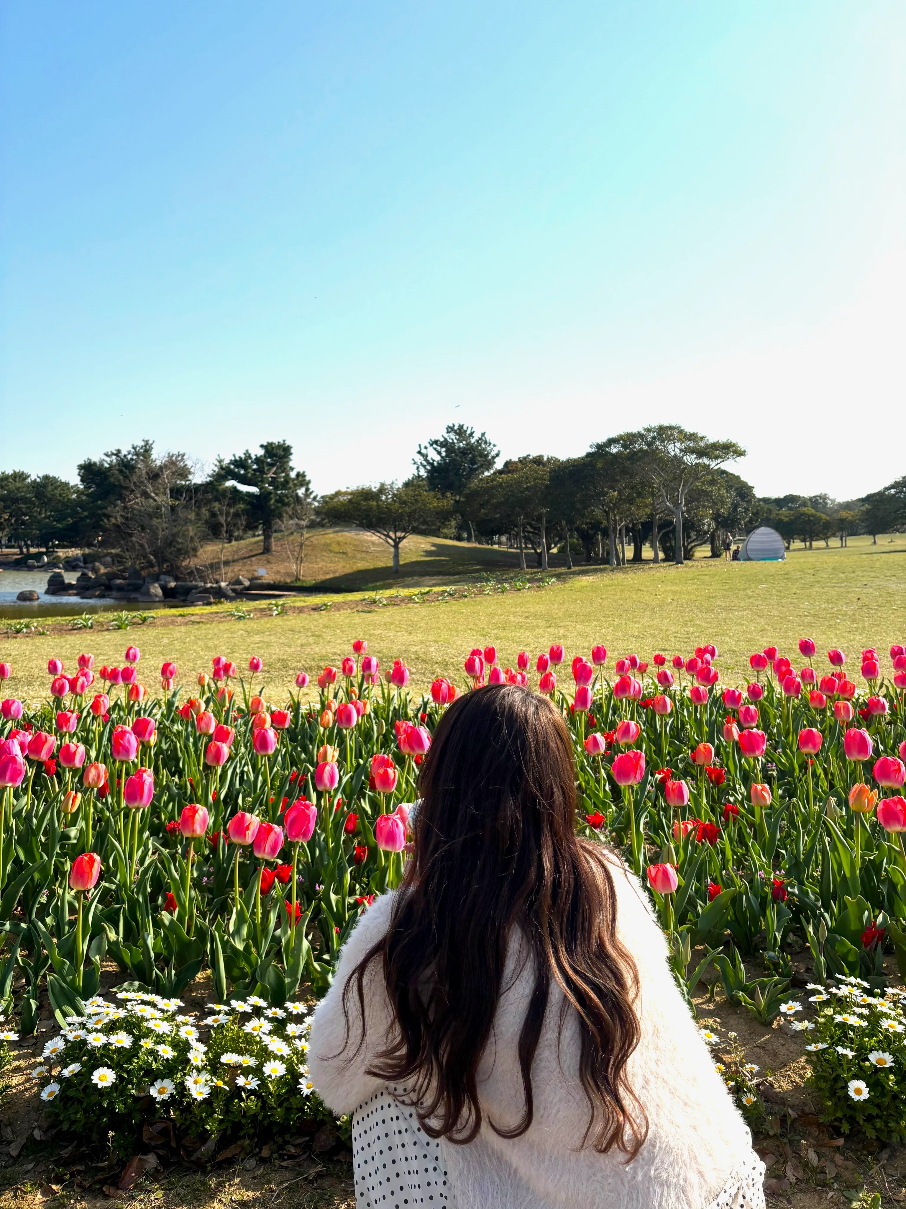 プロフィール写真