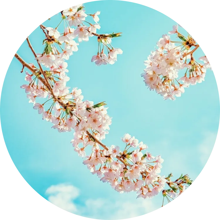 わかりやすいように仮で入れた。消してください