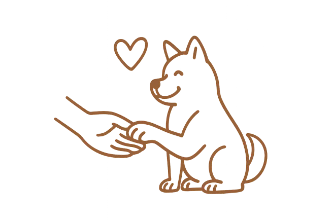 お手をしている犬の画像